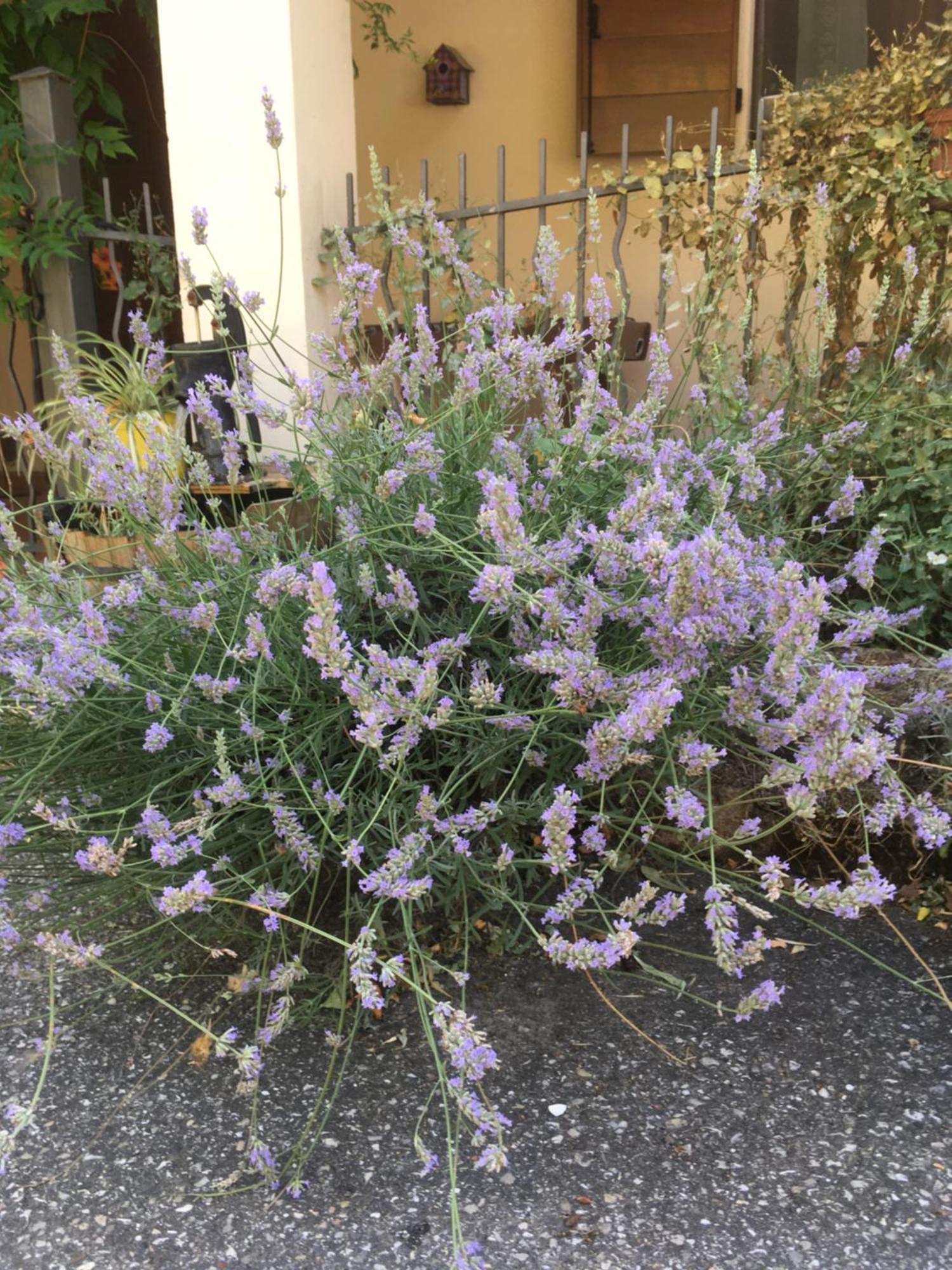 B&B Ca Biocco Sogliano al Rubicone Экстерьер фото