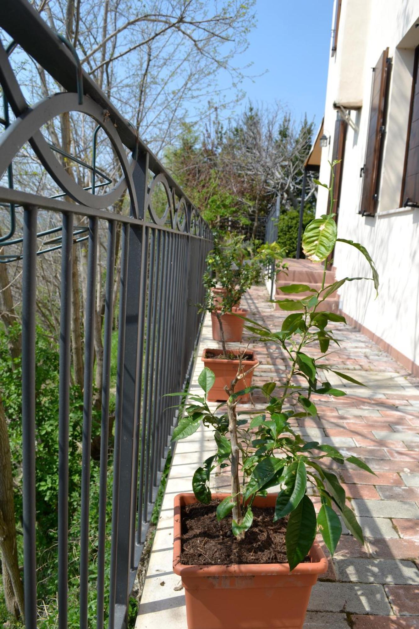 B&B Ca Biocco Sogliano al Rubicone Экстерьер фото