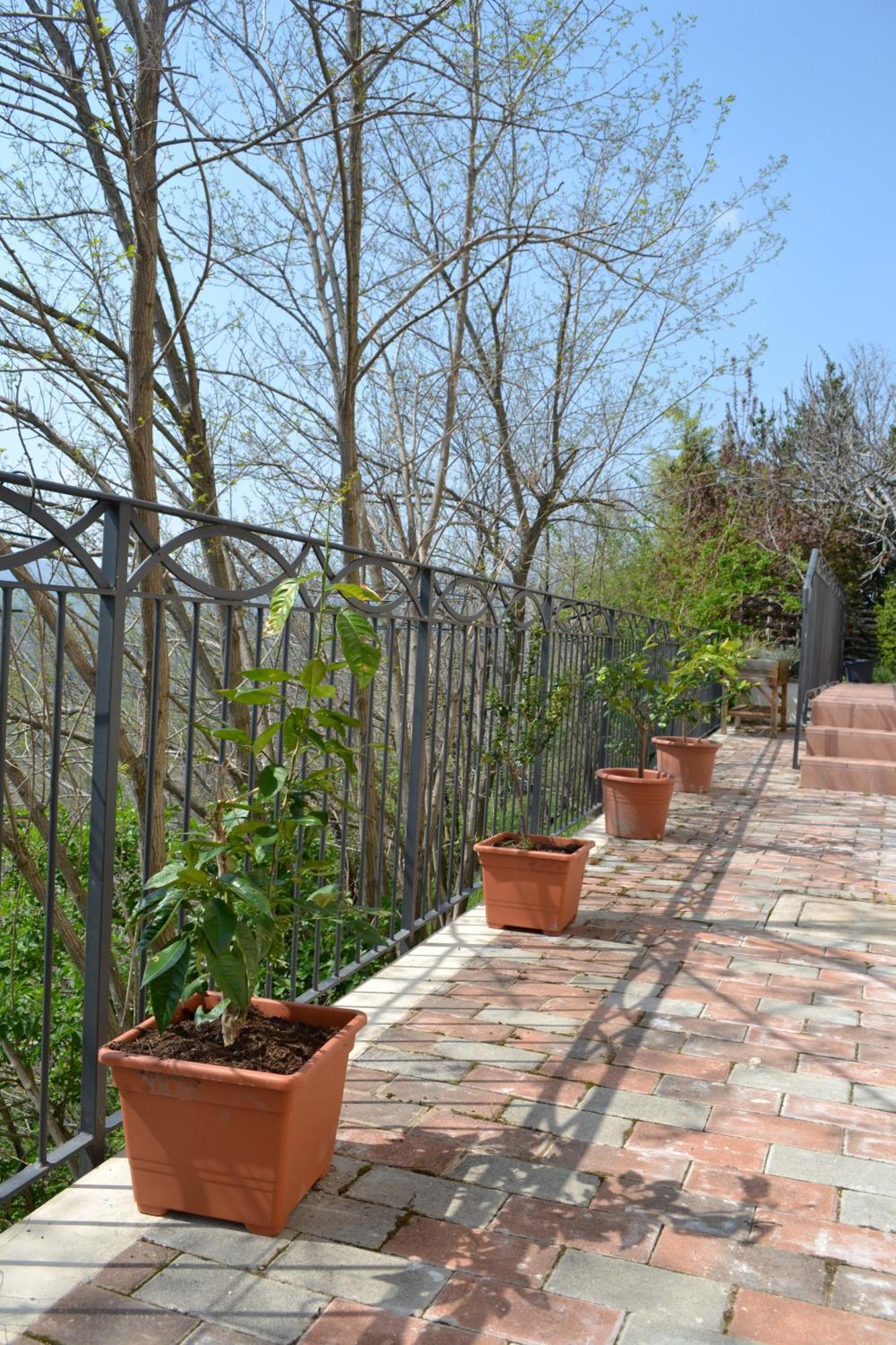 B&B Ca Biocco Sogliano al Rubicone Экстерьер фото