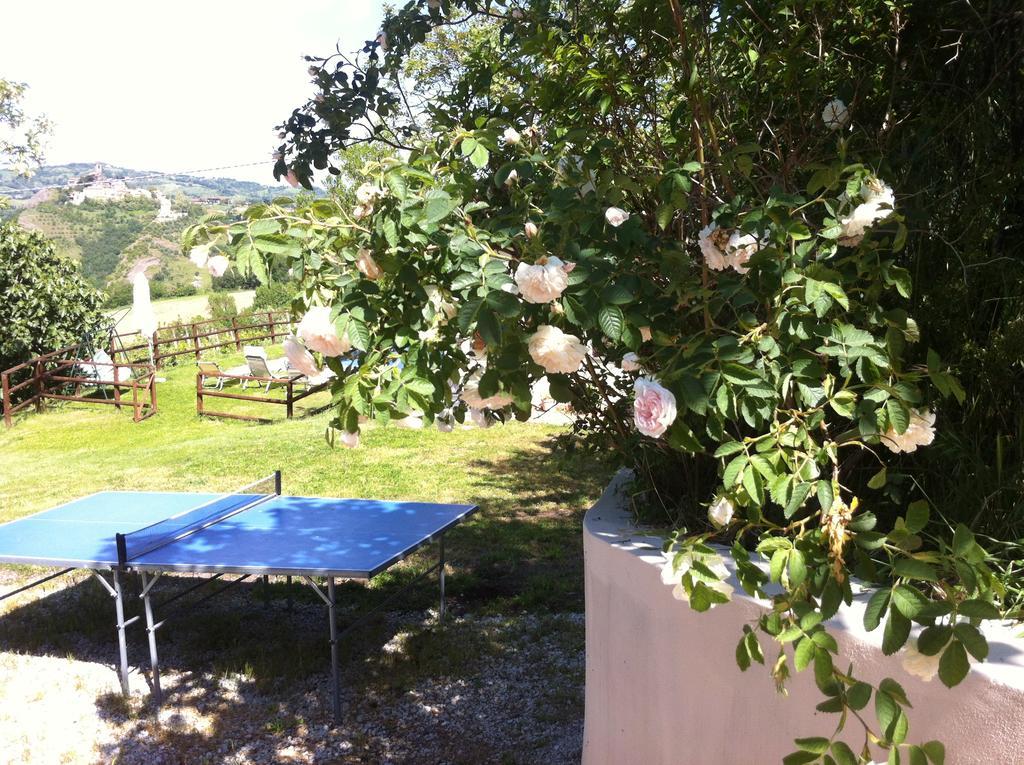 B&B Ca Biocco Sogliano al Rubicone Экстерьер фото