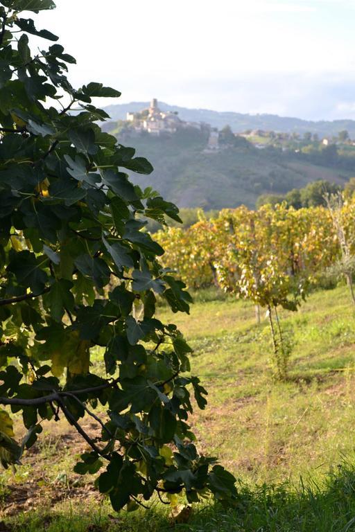 B&B Ca Biocco Sogliano al Rubicone Экстерьер фото