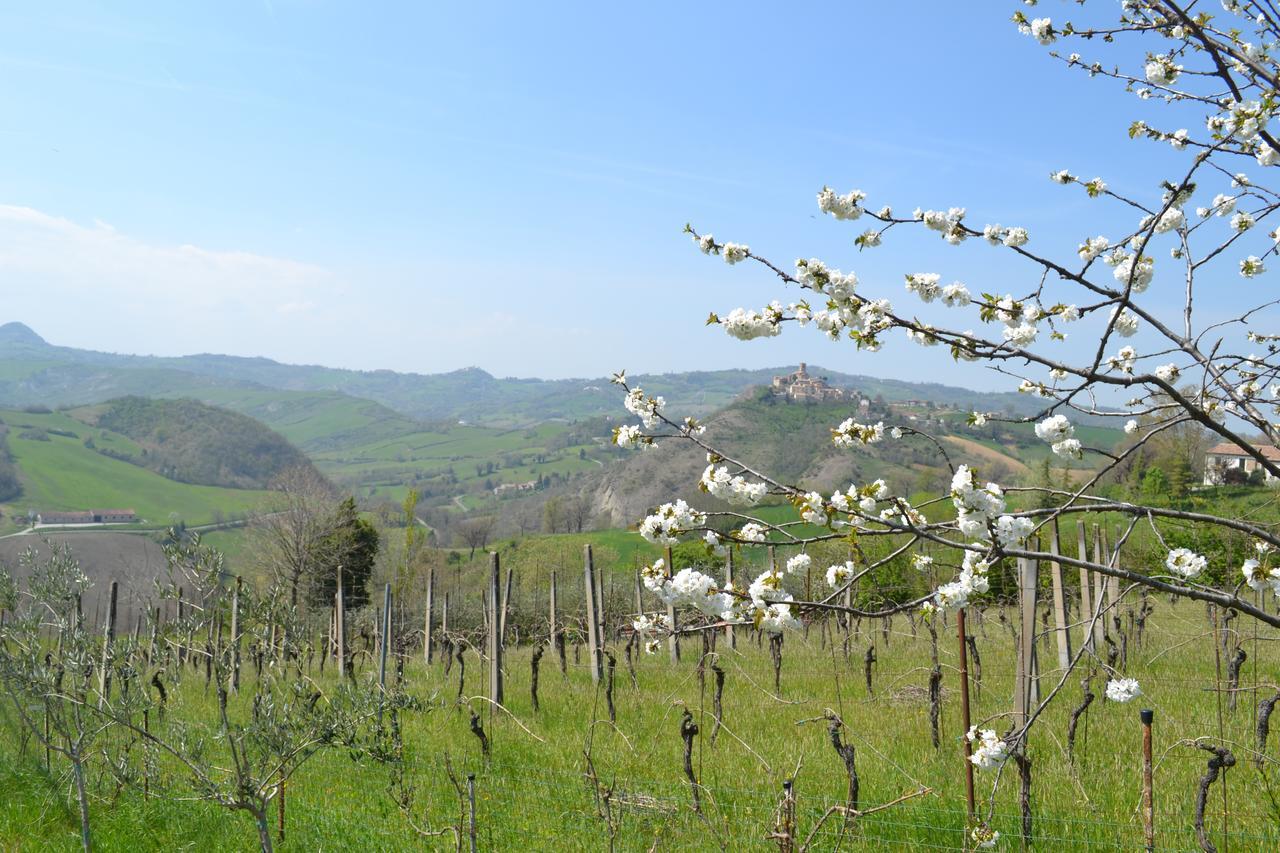 B&B Ca Biocco Sogliano al Rubicone Экстерьер фото